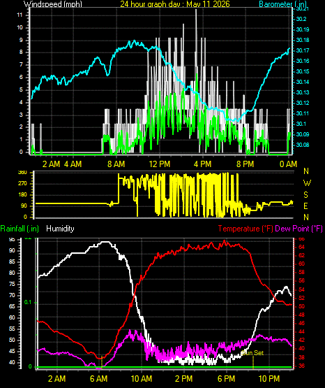 24 Hour Graph for Day 11